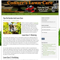 Tips On Garden And Lawn Care