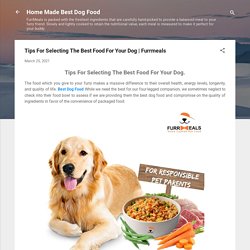 Tips For Selecting The Best Food For Your Dog