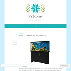 TIPS TO MOVE AN AQUARIUM – NY Movers