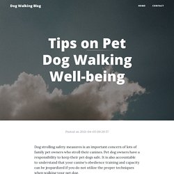 Tips on Pet Dog Walking Well-being