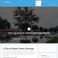 Tips on How to Water Damage Repair - The Local BZ