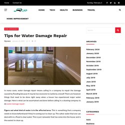 Tips for Water Damage Repair - Speed Cap
