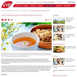 Les tisanes les plus connues et leurs vertus - Infos et conseils nutrition