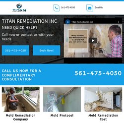 Mold Remediation Cost Fort Lauderdale FL
