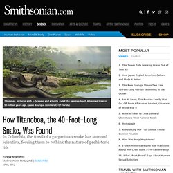 How Titanoboa, the 40-Foot-Long Snake, Was Found