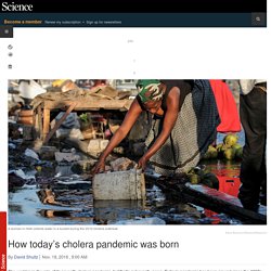 How today’s cholera pandemic was born