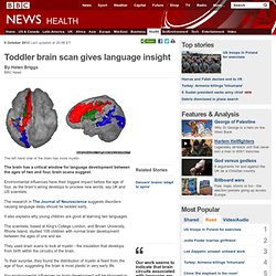 Toddler brain scan gives language insight