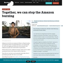 Together, we can stop the Amazon burning - Survival International