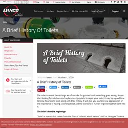 Toilets and Dual Flush Valve - A Brief History