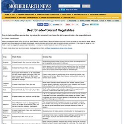 Best Shade-Tolerant Vegetables - Organic Gardening
