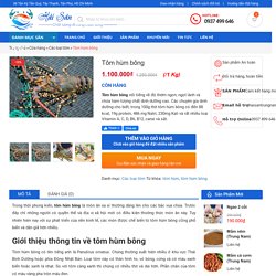 Tôm hùm bông - Hải Sản Trung Nam