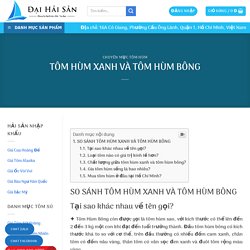 TÔM HÙM XANH VÀ TÔM HÙM BÔNG ⋆ Đại Hải Sản