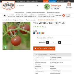Tomate cerise Black Cherry