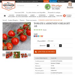 Tomate cerise Gardener's Delight
