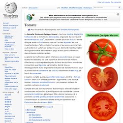 Tomate - Légende, littérature et art