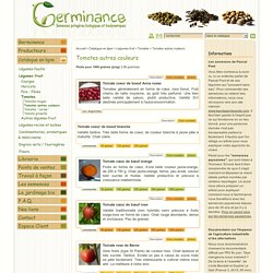 Tomates autres couleurs : semences biologiques et biodynamiques