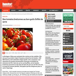 Des tomates bretonnes au bon goût d'effet de serre - Agriculture