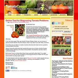 Online Tool For Diagnosing Tomato Problems