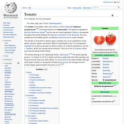 Tomato