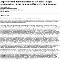 Tomatotopic organization in the Soprano