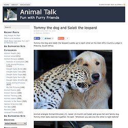 Tommy the dog and Salati the leopard