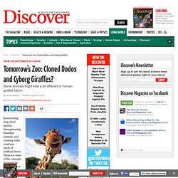 Tomorrow’s Zoo: Cloned Dodos and Cyborg Giraffes?