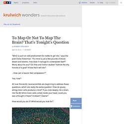 To Map Or Not To Map The Brain? That's Tonight's Question : Krulwich Wonders...