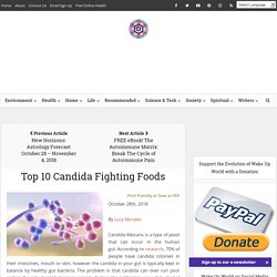 Top 10 Candida Fighting Foods
