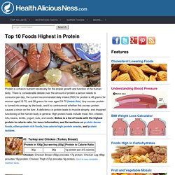 Top 10 Foods Highest in Protein