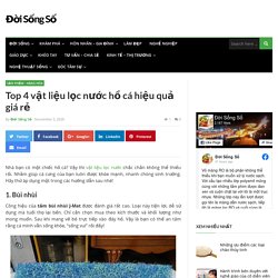 Top 4 vật liệu lọc nước hồ cá hiệu quả giá rẻ