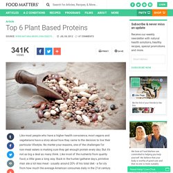 Top 6 Plant Based Proteins