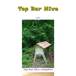 Top Bar Hive