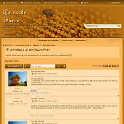Top bar hive - Page 5 - La ruche Warré