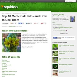 Top 10 Medicinal Herbs and How to Use Them