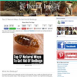 Top 17 Natural Ways To Get Rid Of Bedbugs