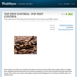 Top 4 Reasons to Not Skip Pest Control for Your House and Office Space