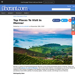 Top Places To Visit In Munnar