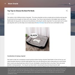 Top Tips to Choose the Best Pet Beds