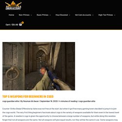Top 5 Weapons For Beginners In Csgo