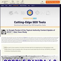 Is Google Panda 4.0 the Topical Authority Content Update of 2014? - Case Study