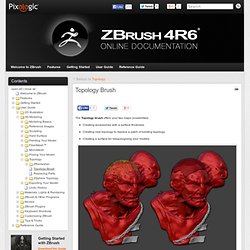Topology Brush » ZBrush Docs
