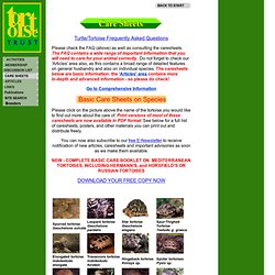 Tortoise Trust Web - Care Sheets