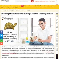 How Feng Shui Tortoise can help bring in wealth & prosperity in 2020?!