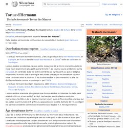 Wikipedia - Tortue d'Hermann