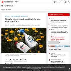 Montréal interdira totalement le glyphosate sur son territoire