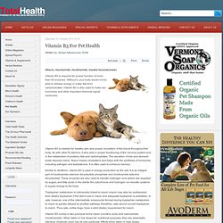 TotalHealth Magazine - Vitamin B3 For Pet Health