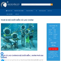 Tour Đi Bộ Dưới Biển Cù Lao Chàm 1 Ngày