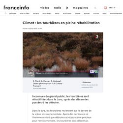 Climat : les tourbières en pleine réhabilitation