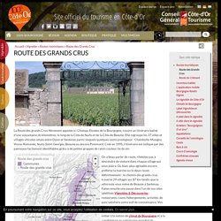 Visite virtuelle > Beaune > La Route Touristique des Grands Crus de Bourgogne