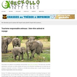 Tourisme responsable animaux : bien-être animal et voyage